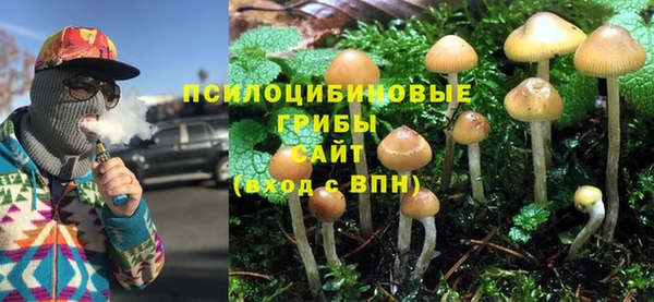 а пвп мука Арсеньев
