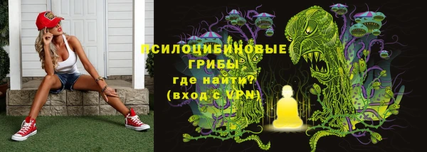 крисы Алзамай