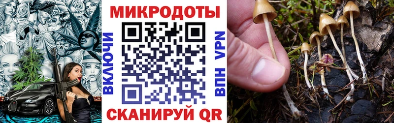 Псилоцибиновые грибы Psilocybe  Светлоград 